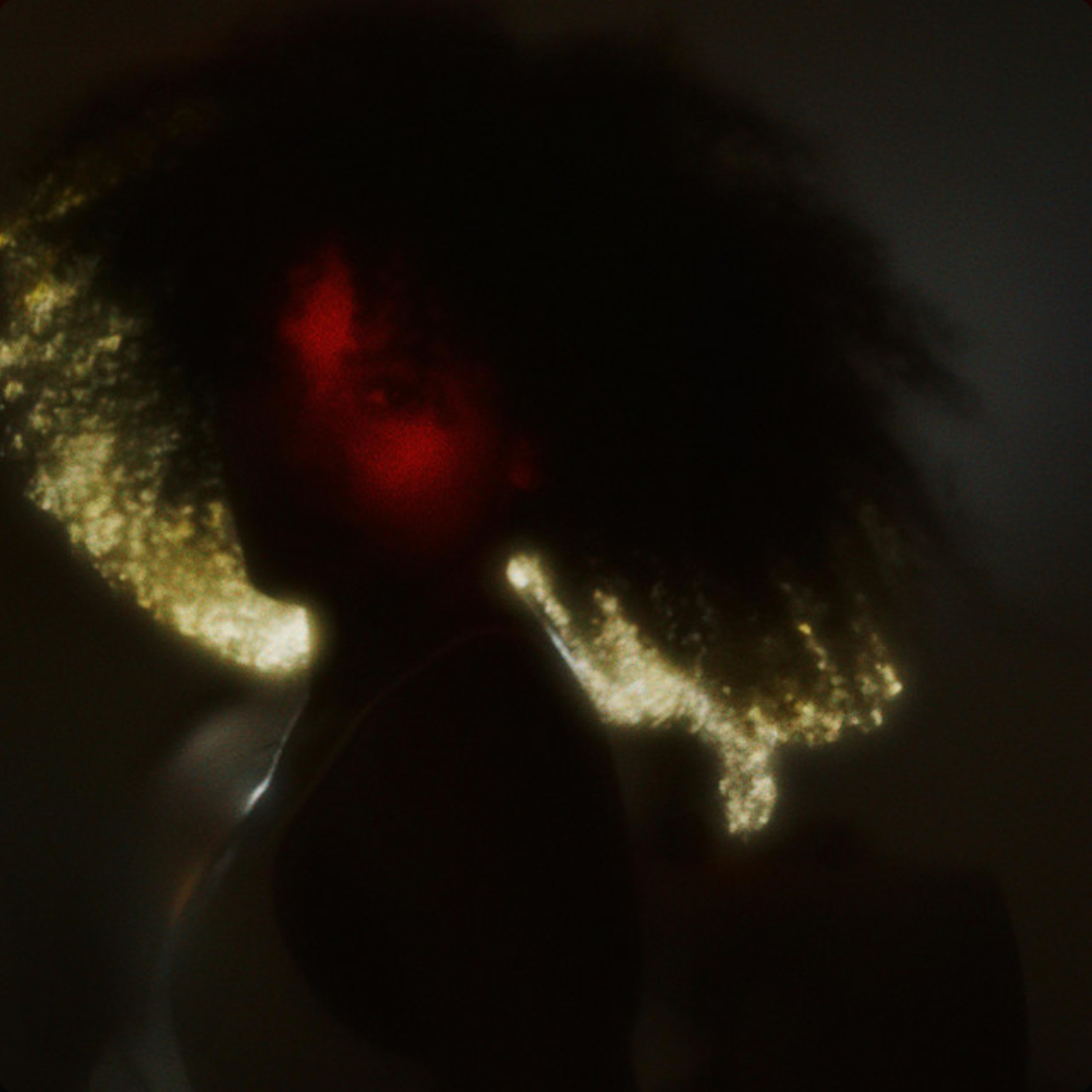 Album cover 5